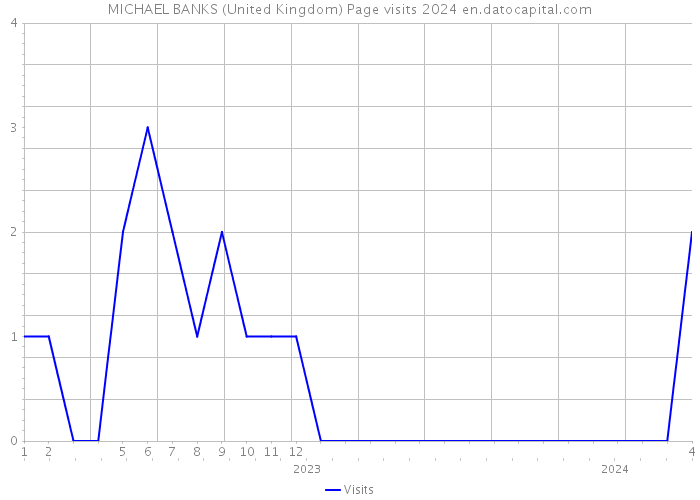 MICHAEL BANKS (United Kingdom) Page visits 2024 