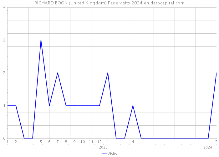 RICHARD BOON (United Kingdom) Page visits 2024 