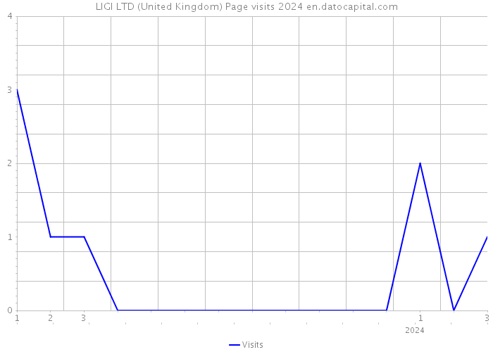 LIGI LTD (United Kingdom) Page visits 2024 