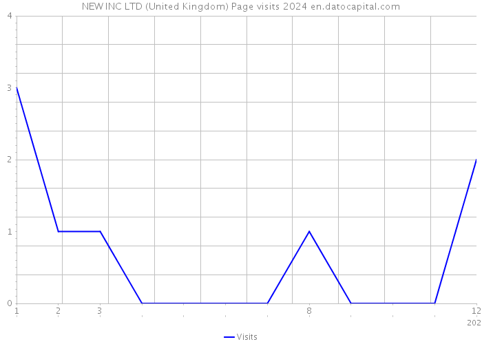 NEW INC LTD (United Kingdom) Page visits 2024 
