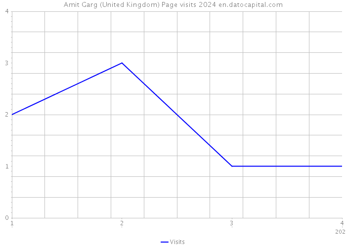 Amit Garg (United Kingdom) Page visits 2024 