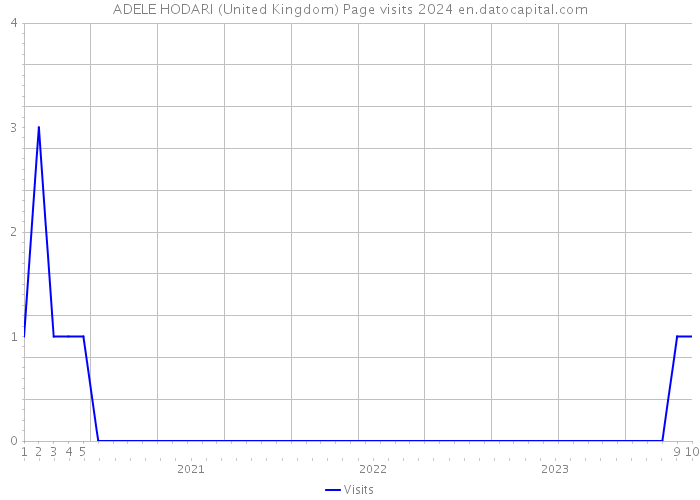 ADELE HODARI (United Kingdom) Page visits 2024 