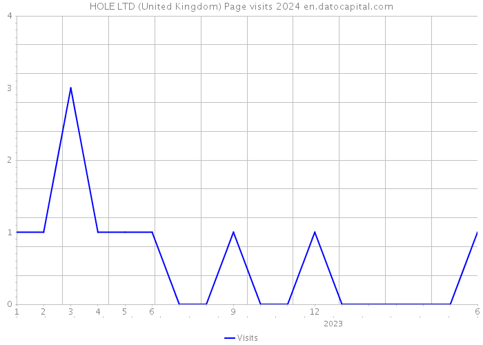 HOLE LTD (United Kingdom) Page visits 2024 
