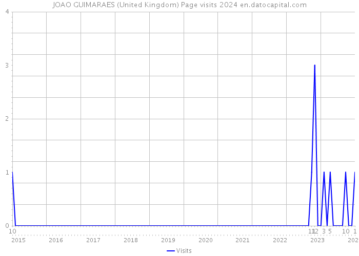 JOAO GUIMARAES (United Kingdom) Page visits 2024 
