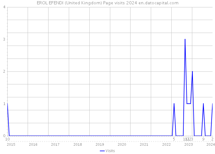 EROL EFENDI (United Kingdom) Page visits 2024 