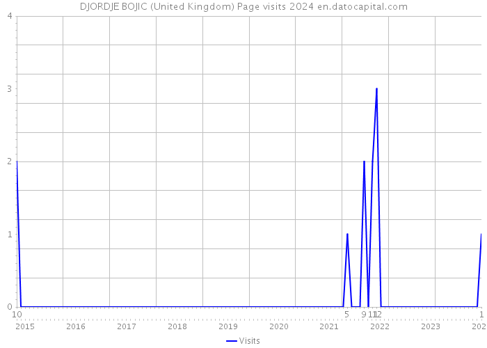 DJORDJE BOJIC (United Kingdom) Page visits 2024 