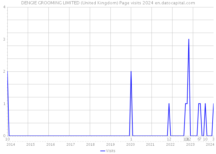 DENGIE GROOMING LIMITED (United Kingdom) Page visits 2024 