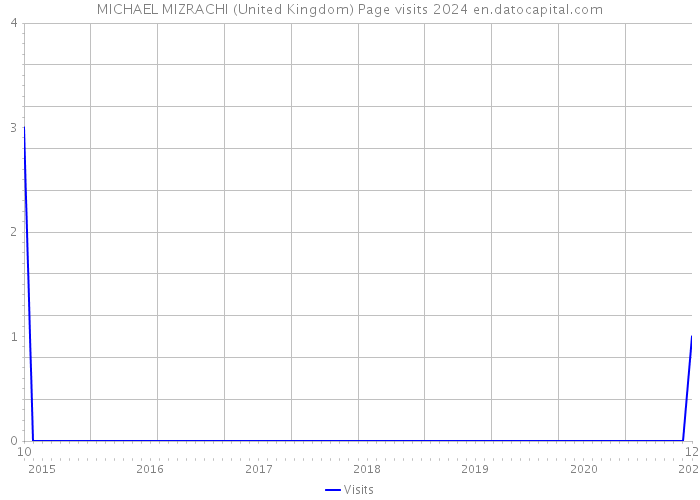 MICHAEL MIZRACHI (United Kingdom) Page visits 2024 