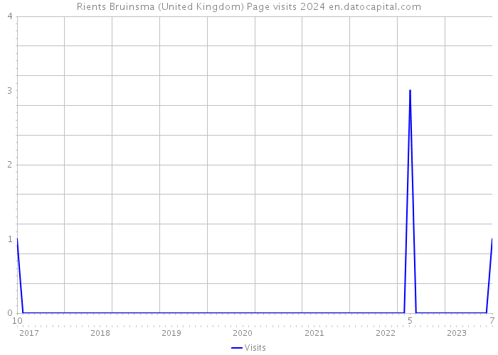 Rients Bruinsma (United Kingdom) Page visits 2024 