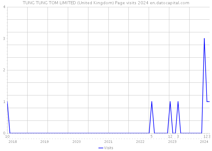 TUNG TUNG TOM LIMITED (United Kingdom) Page visits 2024 