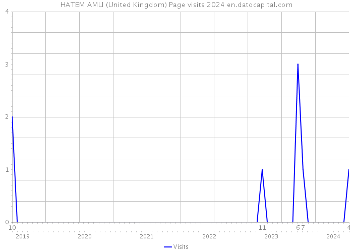 HATEM AMLI (United Kingdom) Page visits 2024 