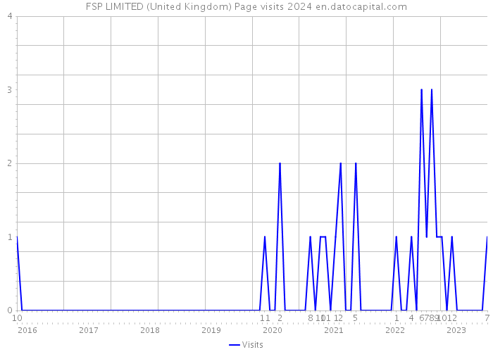 FSP LIMITED (United Kingdom) Page visits 2024 