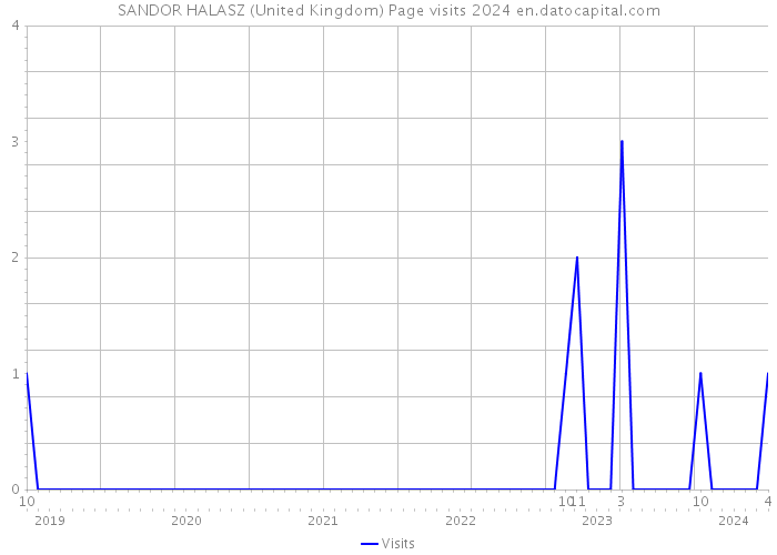 SANDOR HALASZ (United Kingdom) Page visits 2024 