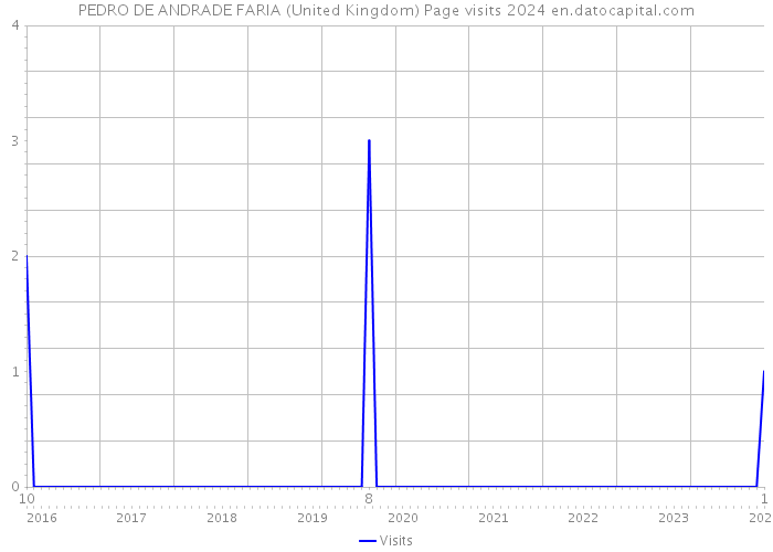 PEDRO DE ANDRADE FARIA (United Kingdom) Page visits 2024 