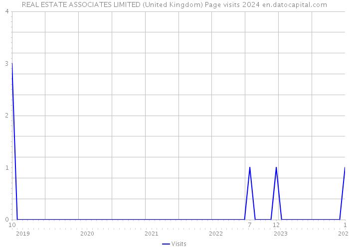 REAL ESTATE ASSOCIATES LIMITED (United Kingdom) Page visits 2024 
