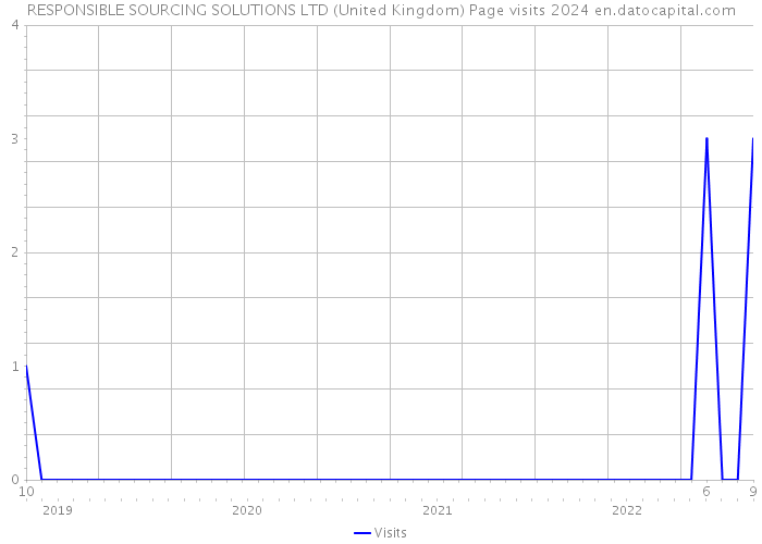 RESPONSIBLE SOURCING SOLUTIONS LTD (United Kingdom) Page visits 2024 