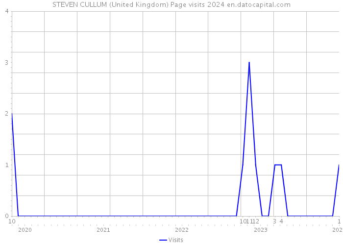 STEVEN CULLUM (United Kingdom) Page visits 2024 