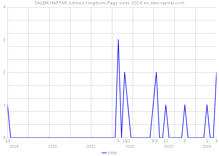 SALEM HAFFAR (United Kingdom) Page visits 2024 