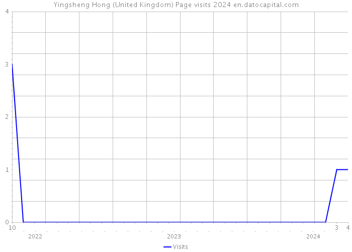 Yingsheng Hong (United Kingdom) Page visits 2024 