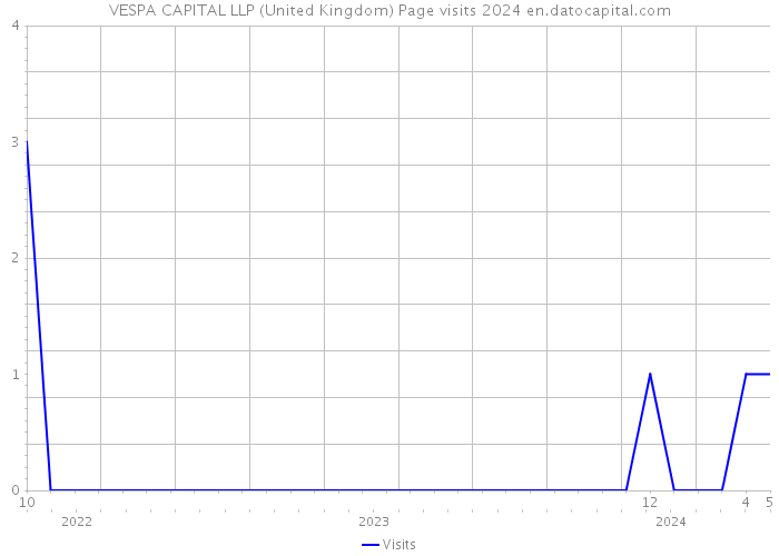 VESPA CAPITAL LLP (United Kingdom) Page visits 2024 