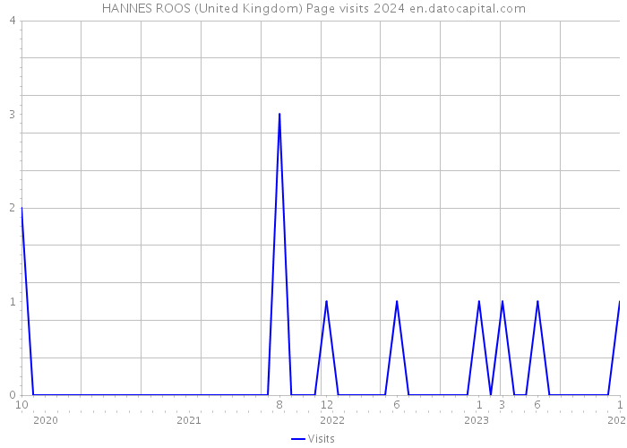 HANNES ROOS (United Kingdom) Page visits 2024 