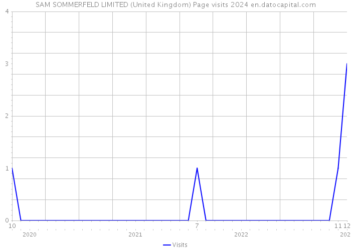 SAM SOMMERFELD LIMITED (United Kingdom) Page visits 2024 