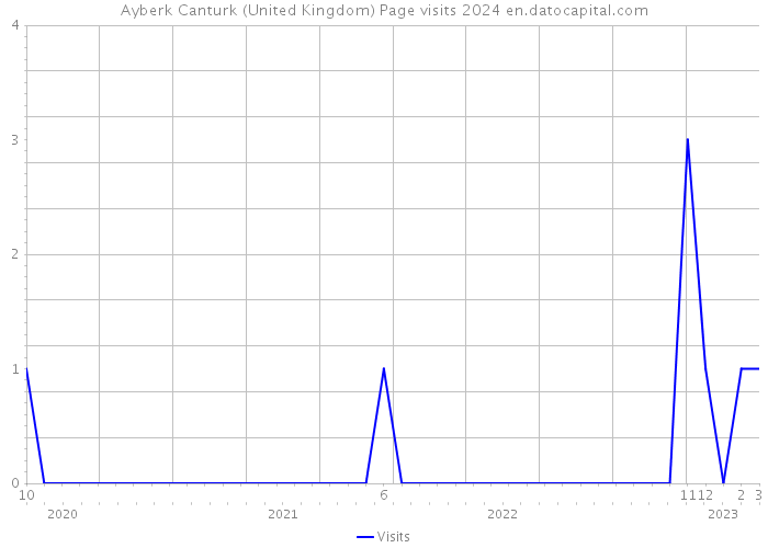 Ayberk Canturk (United Kingdom) Page visits 2024 
