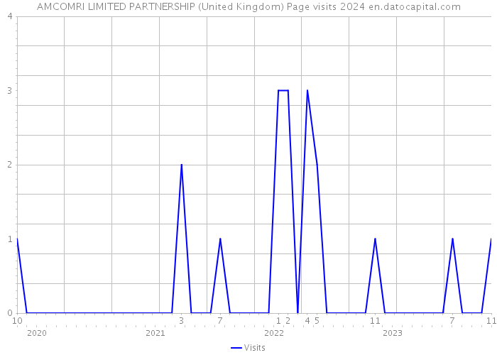 AMCOMRI LIMITED PARTNERSHIP (United Kingdom) Page visits 2024 