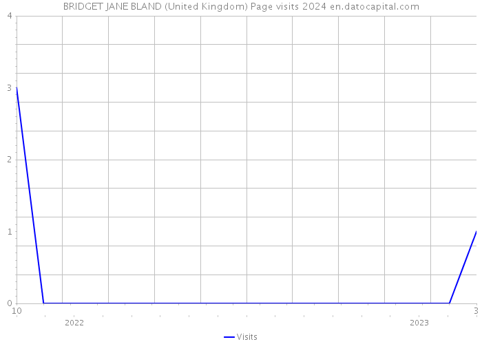 BRIDGET JANE BLAND (United Kingdom) Page visits 2024 