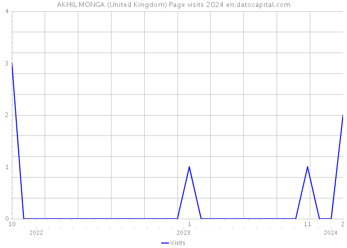 AKHIL MONGA (United Kingdom) Page visits 2024 