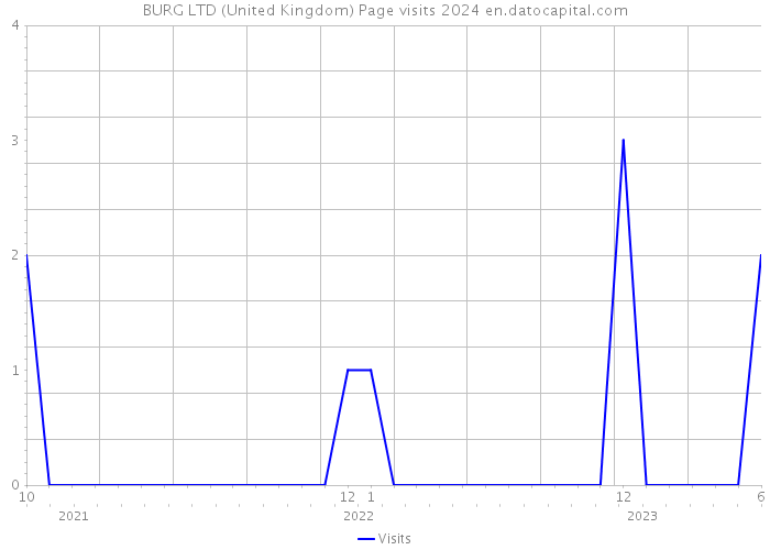 BURG LTD (United Kingdom) Page visits 2024 