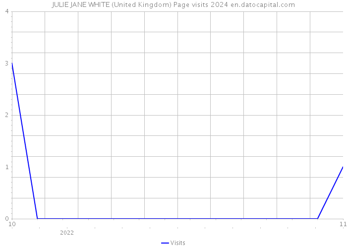 JULIE JANE WHITE (United Kingdom) Page visits 2024 