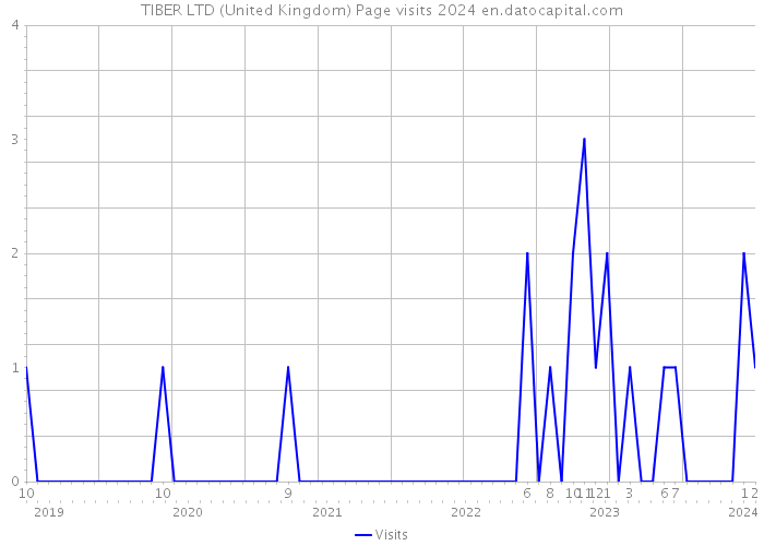 TIBER LTD (United Kingdom) Page visits 2024 