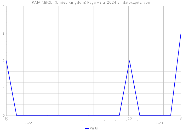 RAJA NBIGUI (United Kingdom) Page visits 2024 