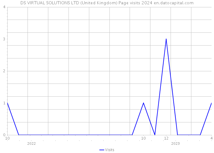 DS VIRTUAL SOLUTIONS LTD (United Kingdom) Page visits 2024 