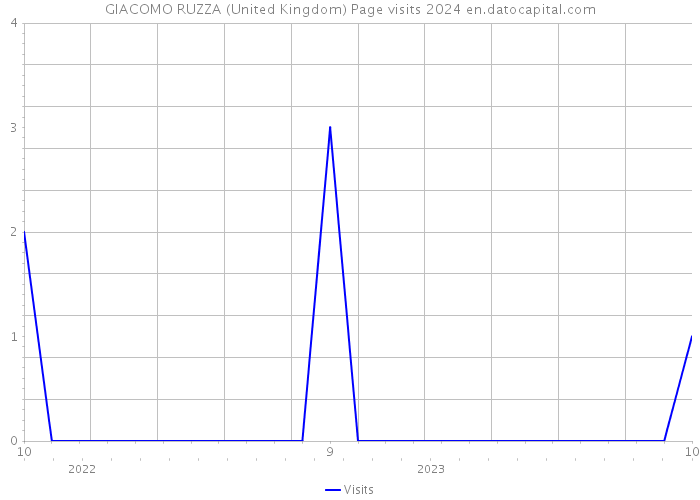 GIACOMO RUZZA (United Kingdom) Page visits 2024 