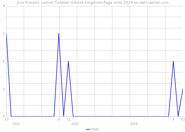 Jose Roberto Luttrell Tedman (United Kingdom) Page visits 2024 