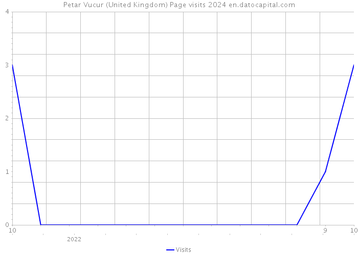 Petar Vucur (United Kingdom) Page visits 2024 