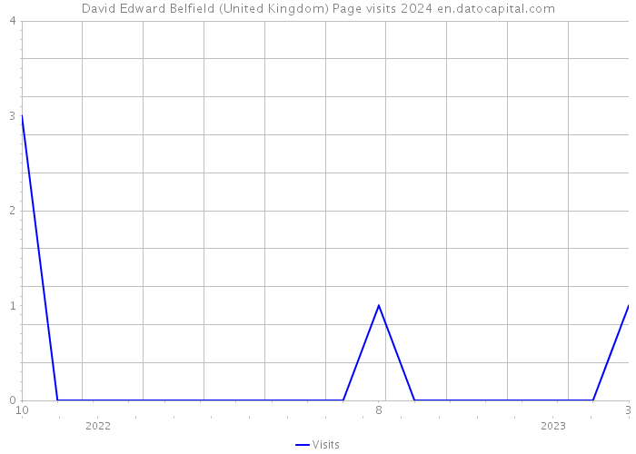 David Edward Belfield (United Kingdom) Page visits 2024 
