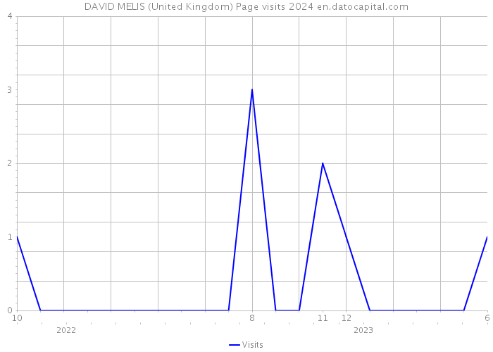 DAVID MELIS (United Kingdom) Page visits 2024 