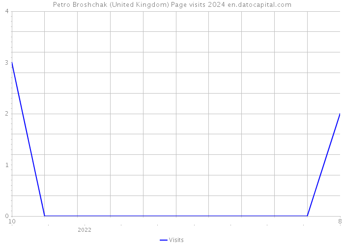 Petro Broshchak (United Kingdom) Page visits 2024 