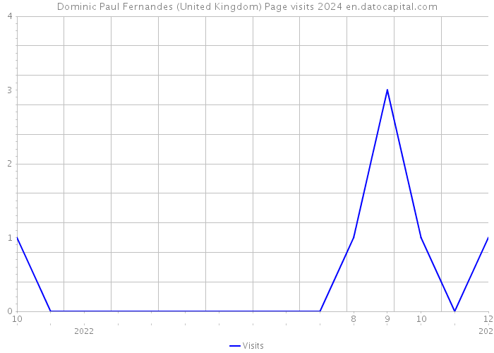 Dominic Paul Fernandes (United Kingdom) Page visits 2024 