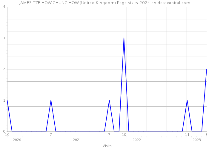 JAMES TZE HOW CHUNG HOW (United Kingdom) Page visits 2024 