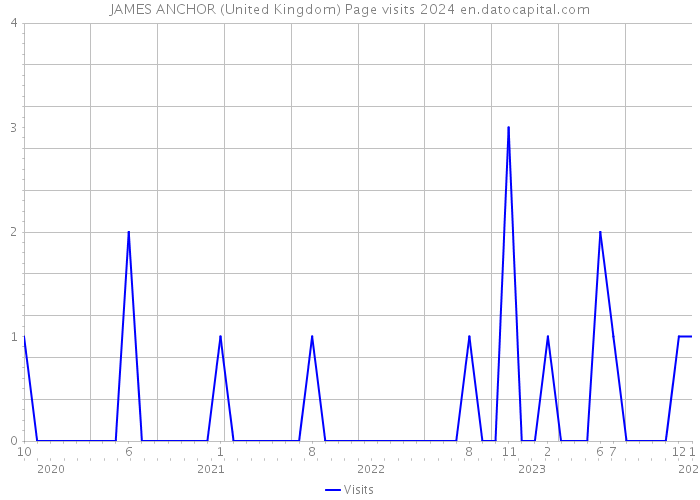 JAMES ANCHOR (United Kingdom) Page visits 2024 