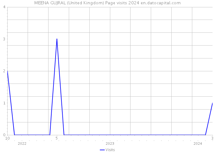 MEENA GUJRAL (United Kingdom) Page visits 2024 