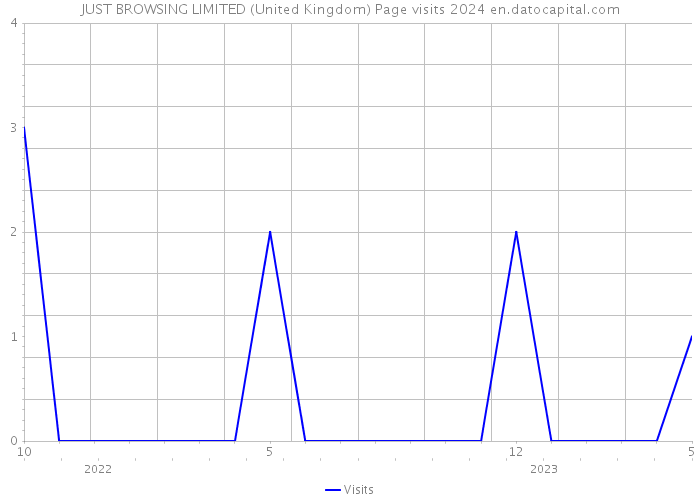 JUST BROWSING LIMITED (United Kingdom) Page visits 2024 