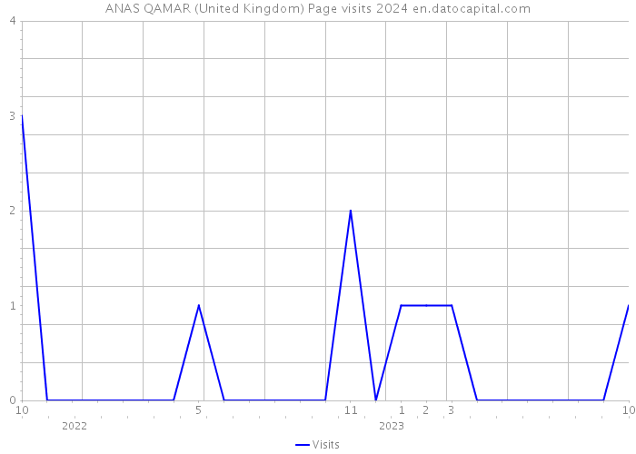 ANAS QAMAR (United Kingdom) Page visits 2024 