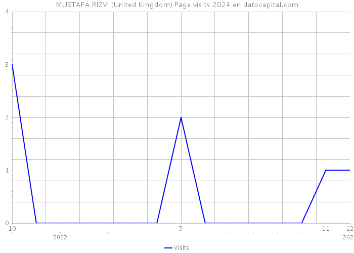 MUSTAFA RIZVI (United Kingdom) Page visits 2024 