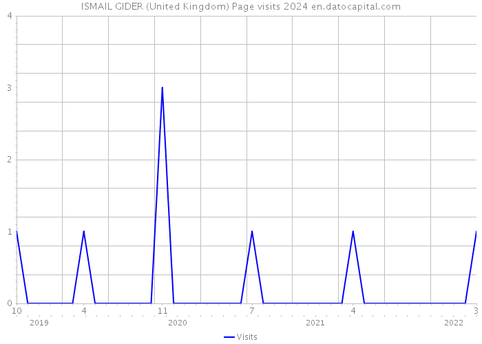 ISMAIL GIDER (United Kingdom) Page visits 2024 