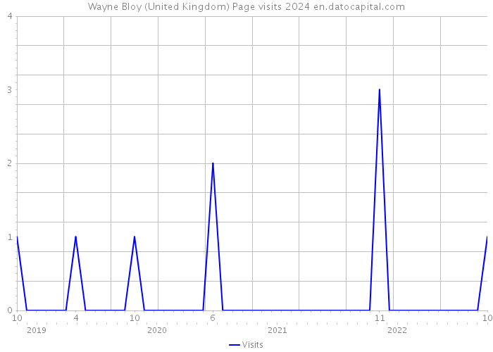 Wayne Bloy (United Kingdom) Page visits 2024 